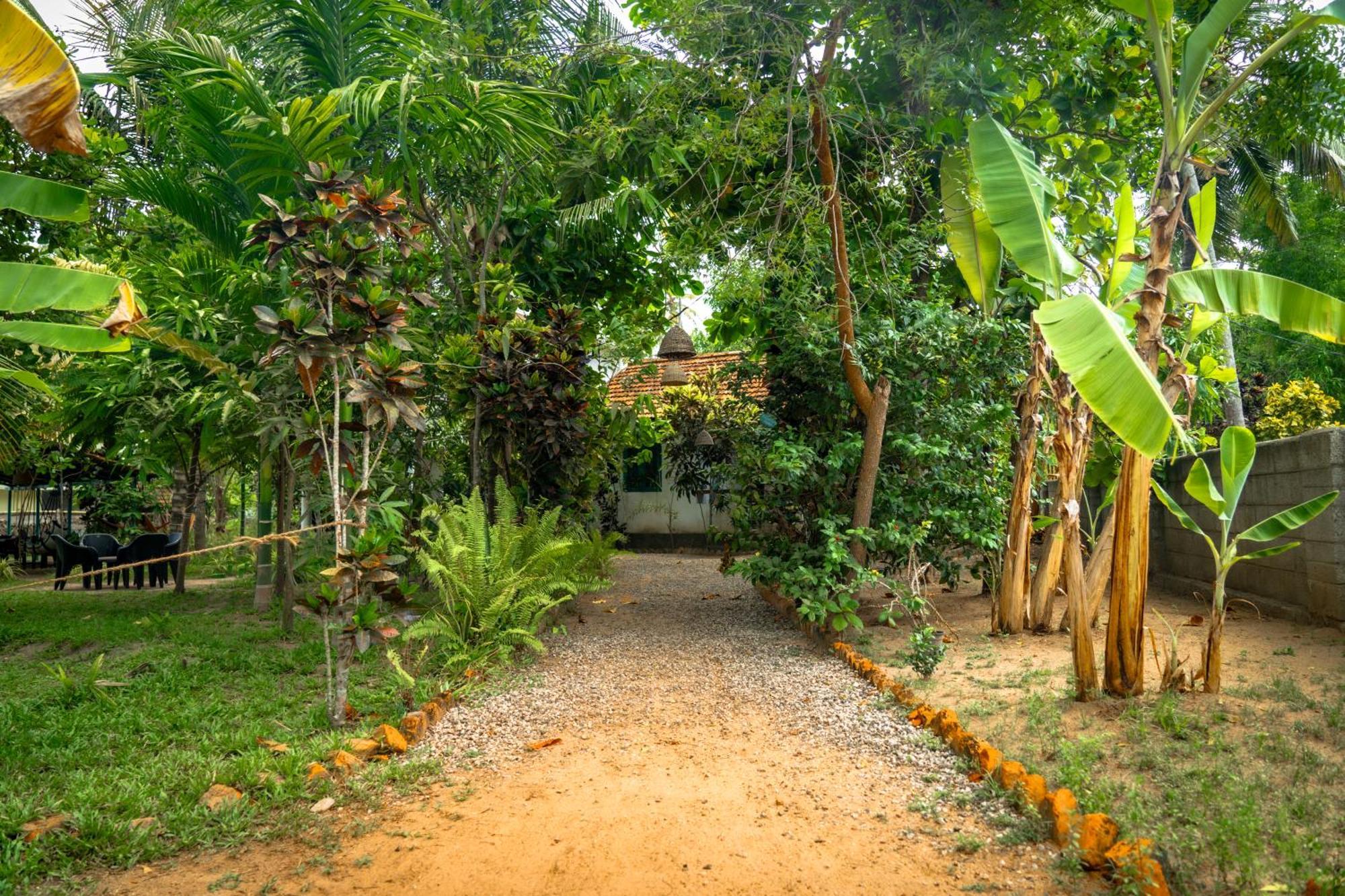Auberge de jeunesse Cliff & Coral à Varkala Extérieur photo